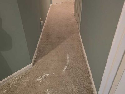Carpet Flooring Removal